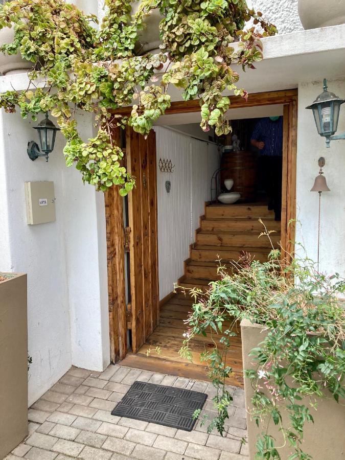 Mangolds Port Elizabeth