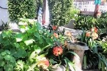 Mangolds Gasthuis 3*